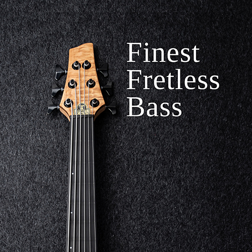 Finest Fretless Bass – Playlist Cover